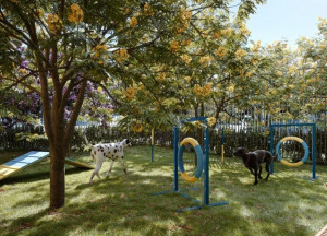 Altano Lago dos Patos