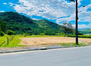 CDA 7000 Lote TE0037REYD