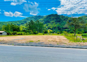 CDA 7001 Lote TE0038REYD