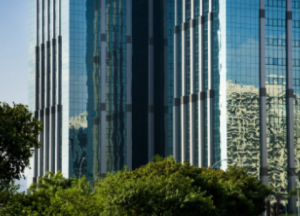 CEO Corporate Executive Offices