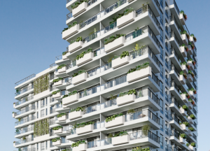 Corcovado Jardim Botafogo