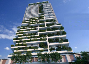 Gyro Ricardo Paranhos