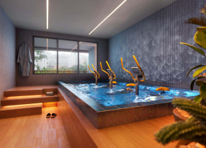 Highlights Dr. Nelson Moretti