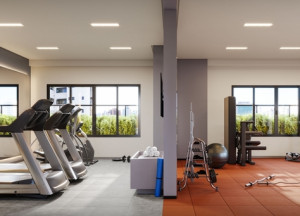 Land226 Universitário