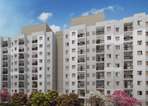 Mérito Jacarepaguá