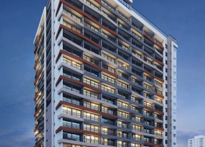 Nex One Gentil de Moura