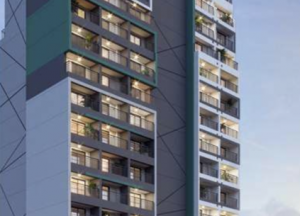 Raízes Tucuruvi Figueira