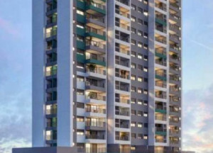 Raízes Tucuruvi Jacarandá