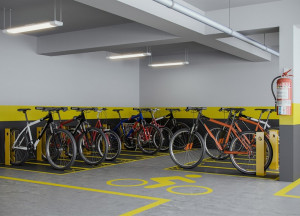 Saphir Morgado de Mateus