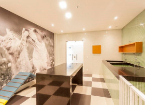 Soho Residence - Comercial