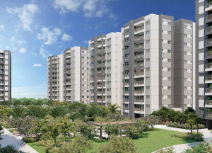 Unique Green Tourmaline