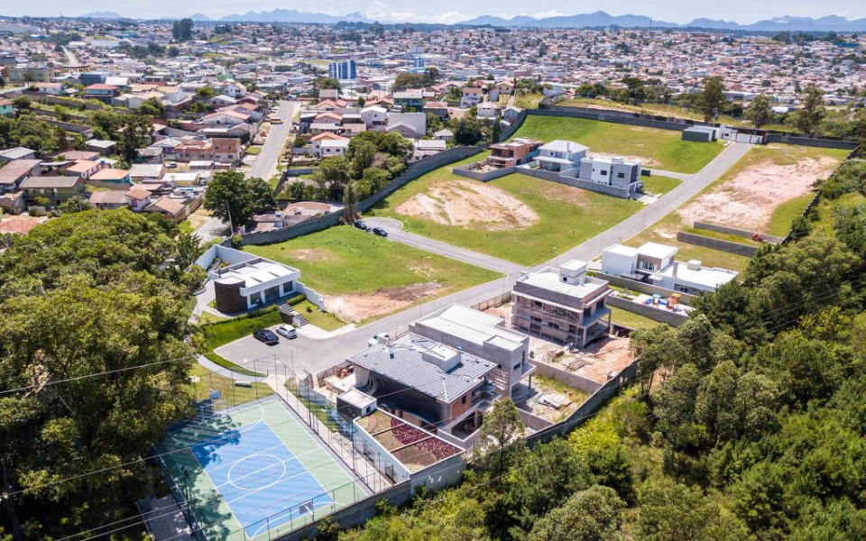 Alta Vista - Strobel