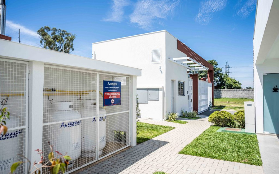 Alta Vista - Strobel