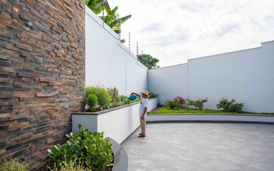 Alta Vista - Strobel