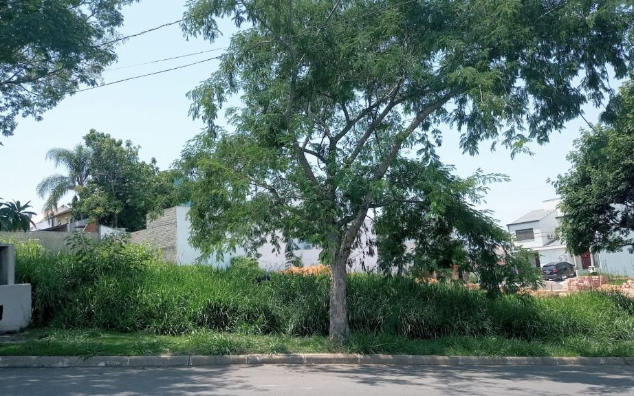 APVC 0 Lote TE0185MC3A