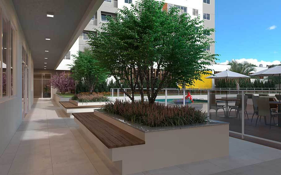 Arvoredo Cerrado Parque