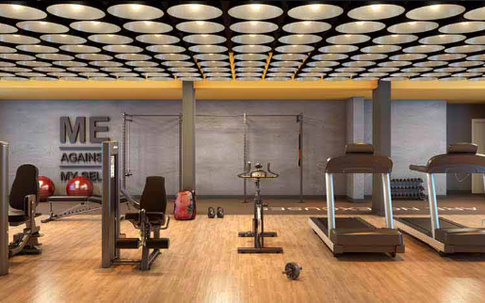 Auge Jardim da Saúde