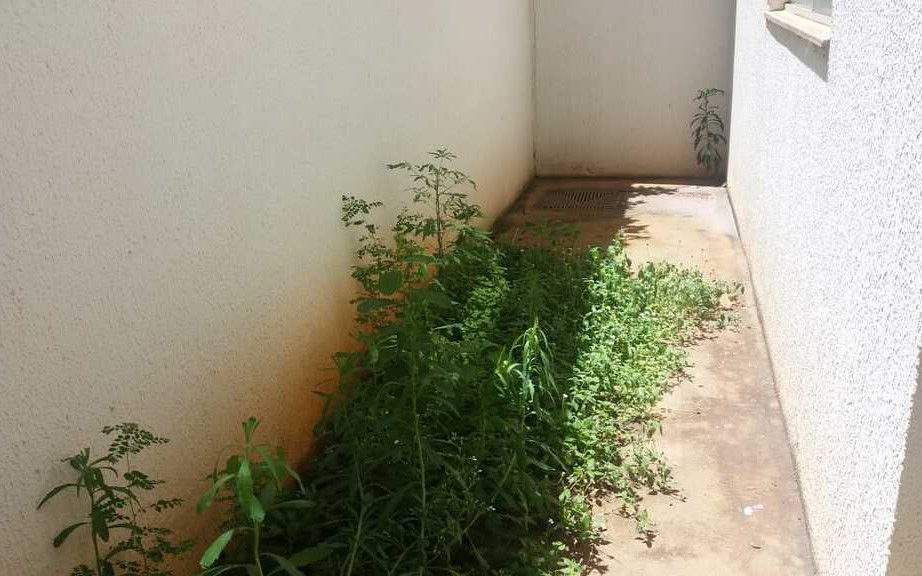 Áurea Haus Bom Jesus