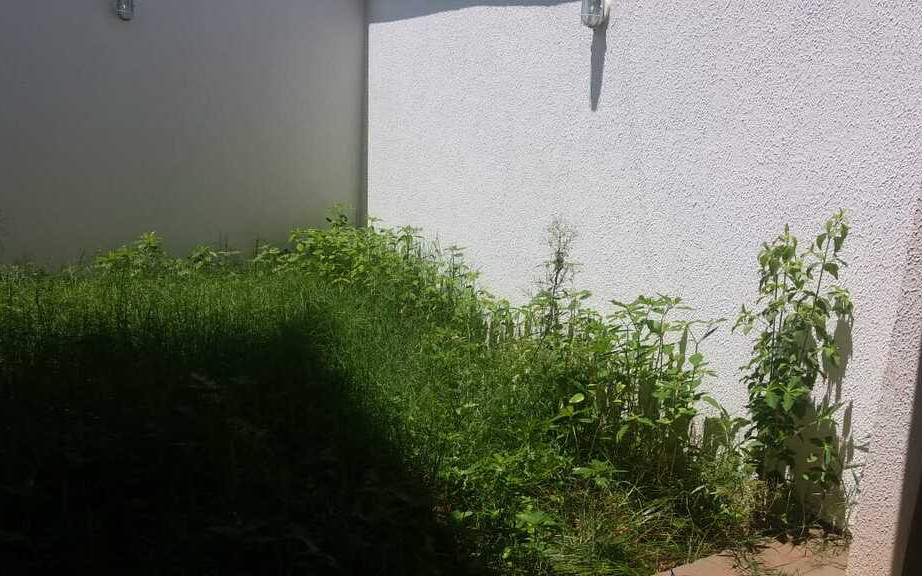 Áurea Haus Bom Jesus