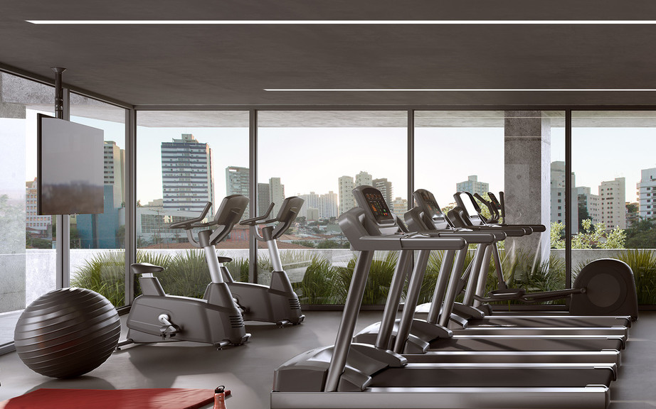 Bandeira Vila Madalena