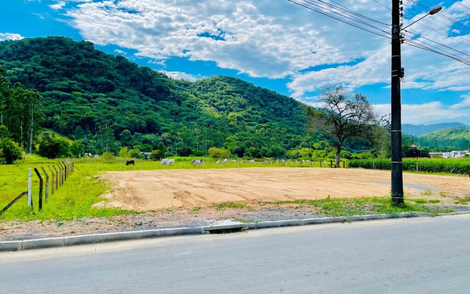 CDA 7000 Lote TE0037REYD