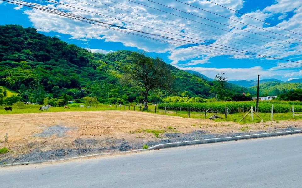 CDA 7001 Lote TE0038REYD