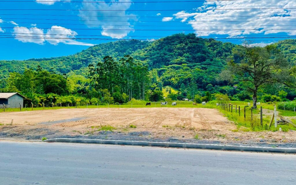 CDA 7001 Lote TE0038REYD