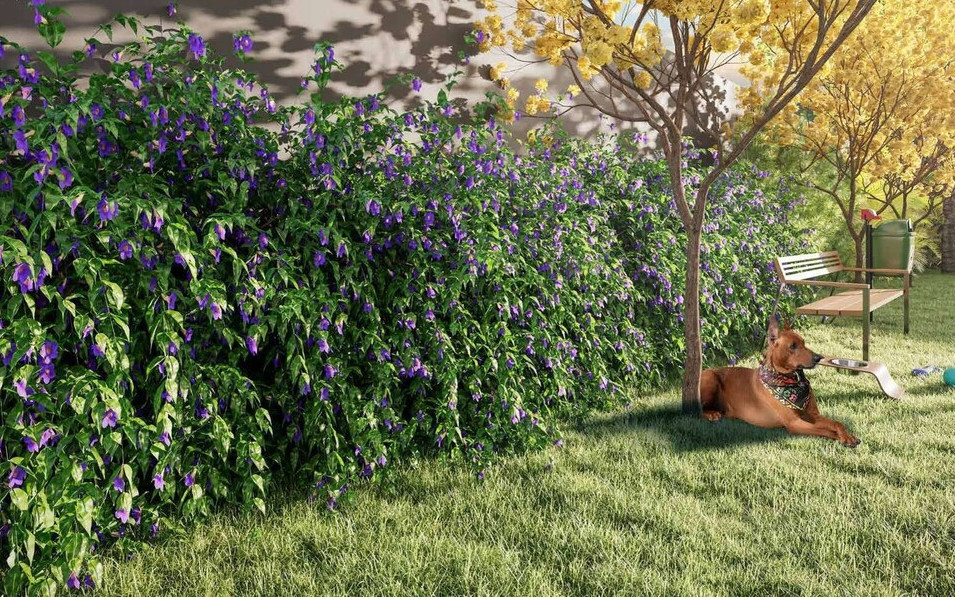 Club Station Belém - Residencial