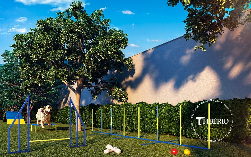 Constantino Campo Belo