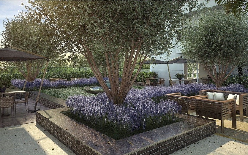 Dinastia Living Desire