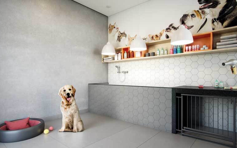 Dream View Sky Resort