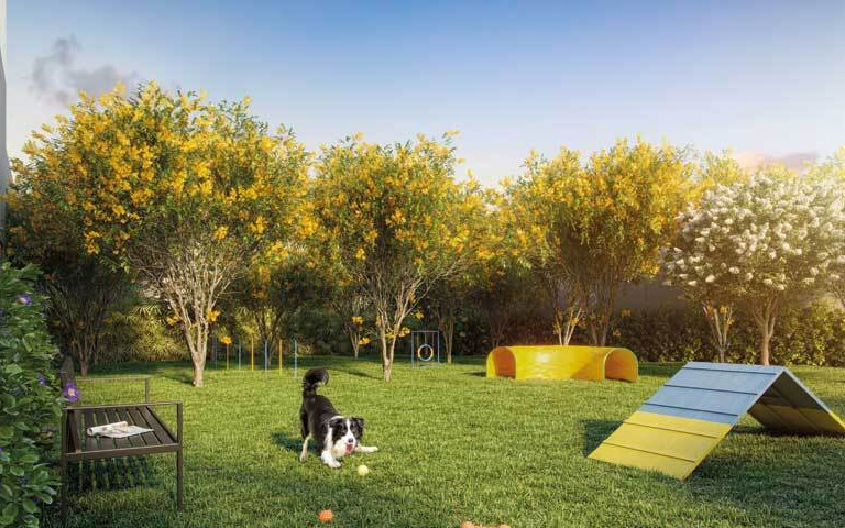 Dream View Sky Resort