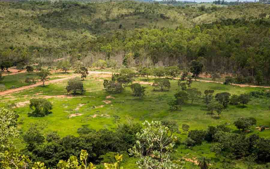 Estância Vitória 2