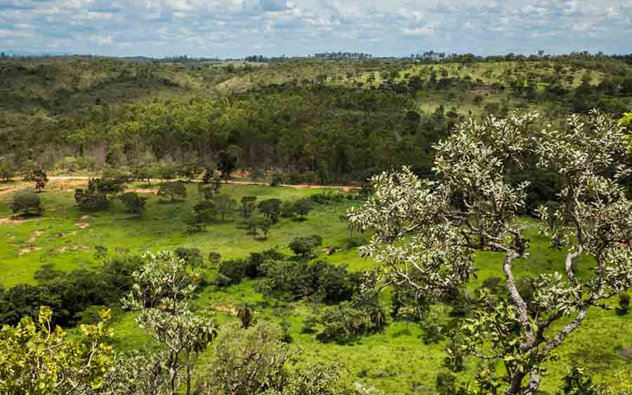 Estância Vitória 2