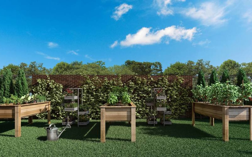 Evolve - Vanguard PR