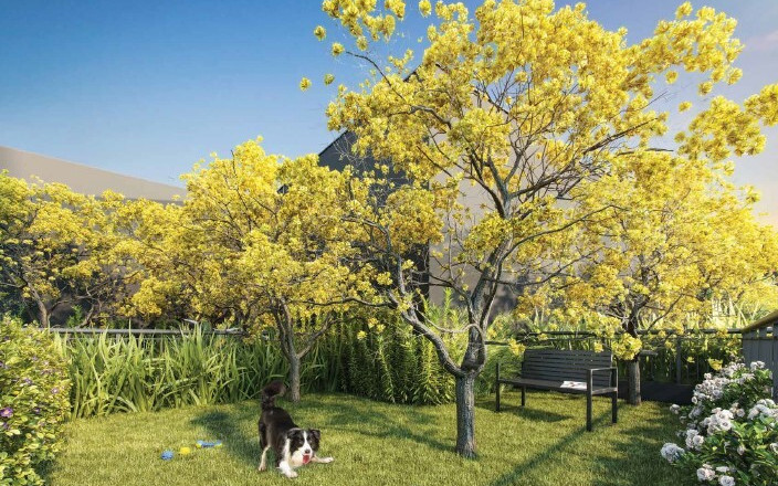 Expression Ibirapuera by Ez