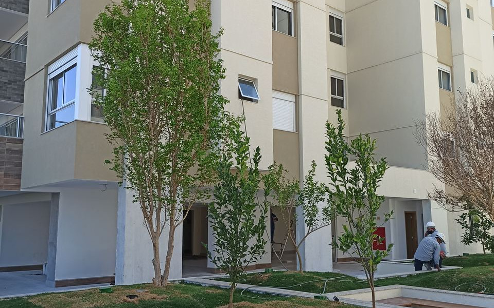 Gaia Consciente Home