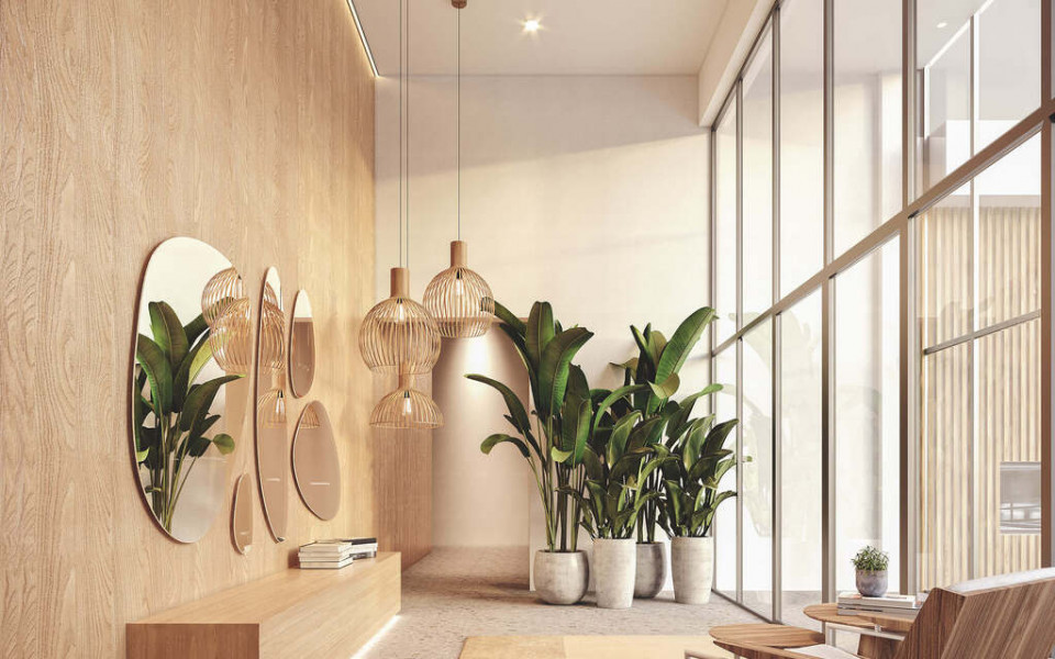 Highlights Dr. Nelson Moretti