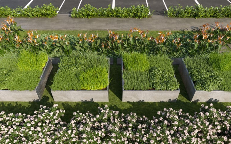 Intense Hortolândia