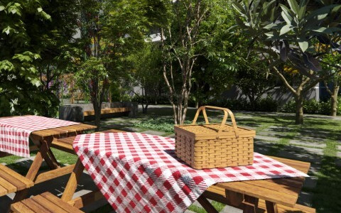 Intense Hortolândia