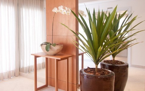 Link Residencial Morumbi