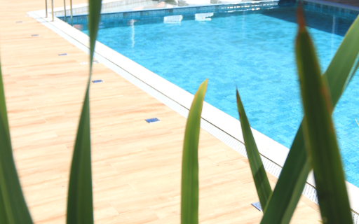 Maria Augusta Home Design