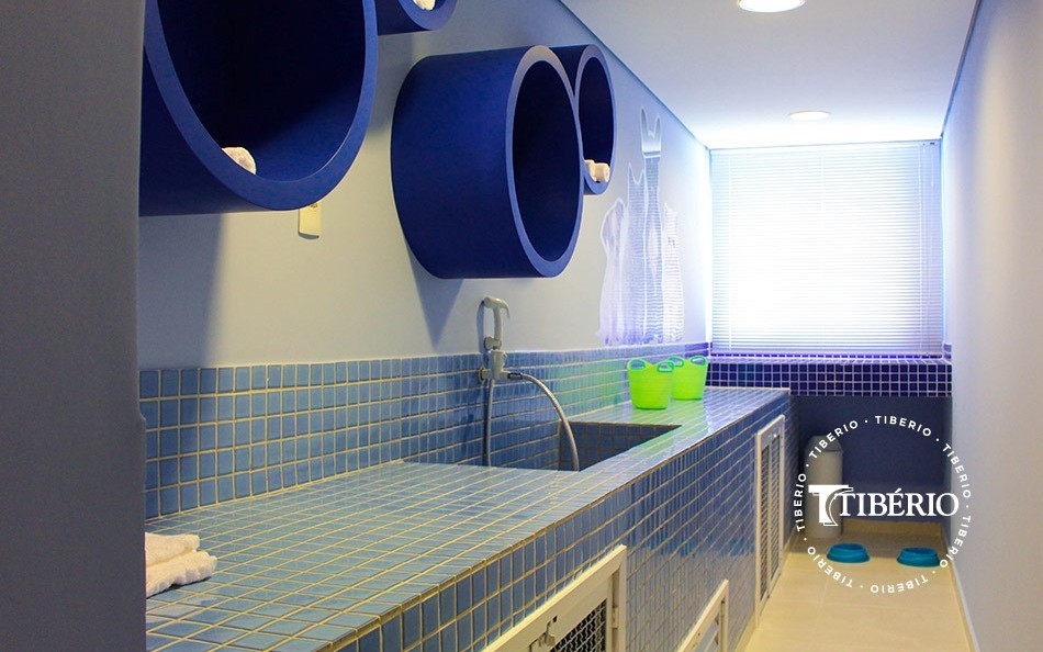 My Space Conceição