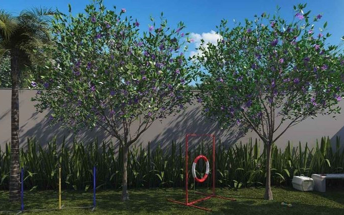 Nex One Vila Madalena