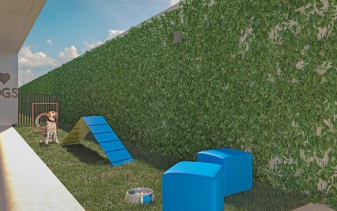 Nik Alves Guimarães