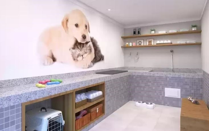 Plano&Jardim Planalto