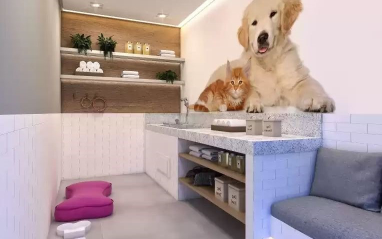 Plano&Reserva Casa Verde