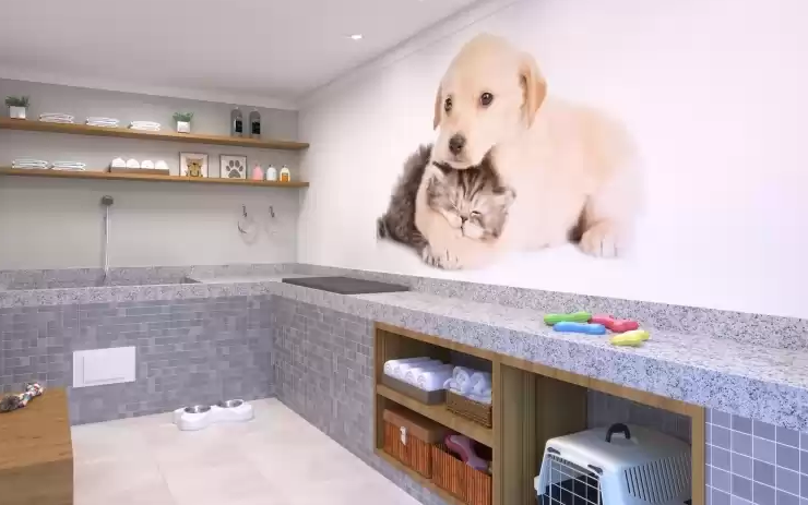 Plano&Sacomã - Antônio Gomes