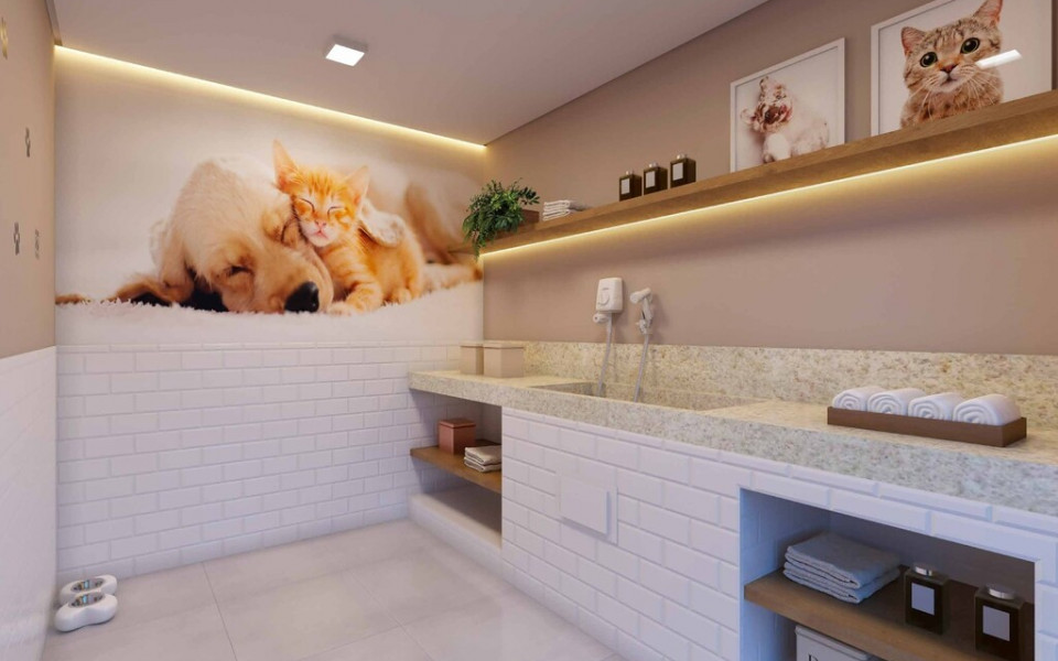 Plano&Vila Cambuci Araçá