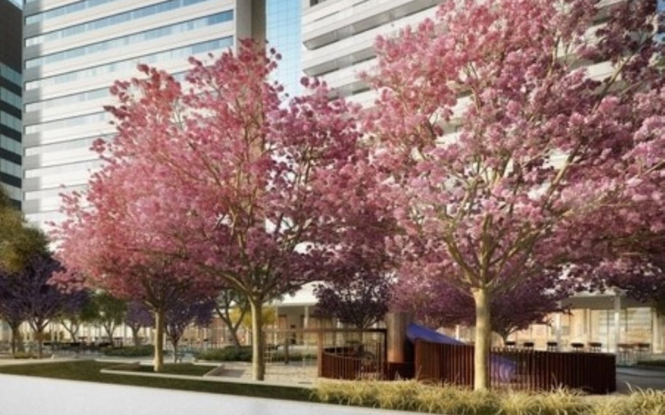 Praça São Paulo Office